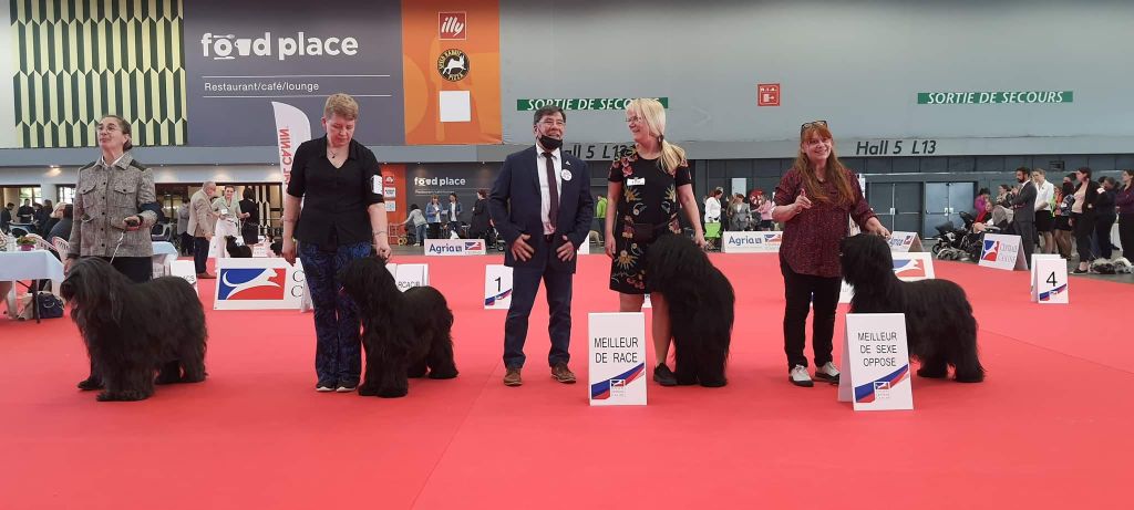 du val de l'auguis - EUROPEAN DOG SHOW PARIS 2022