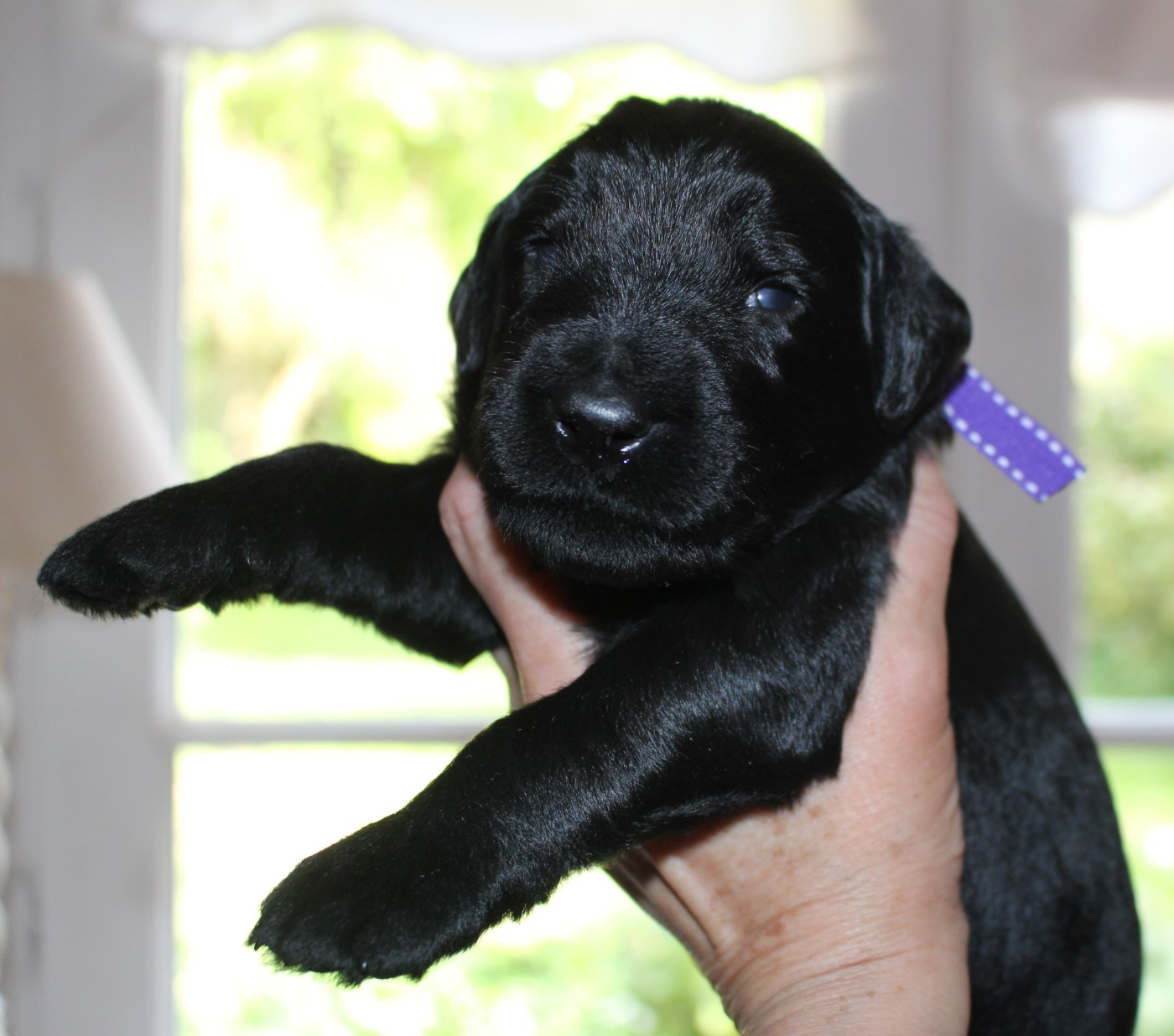 2 semaines pour nos Petites Bouilles à Bisous